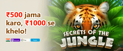 Daily Reload Bonus promotion